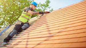 Best Solar Panel Roofing Installation  in Belle Meade, TN